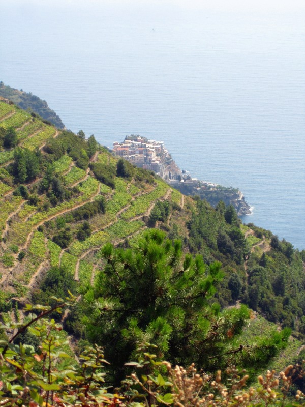 Manarola, vanuit de weg vanaf Vernazza naar La Spezia