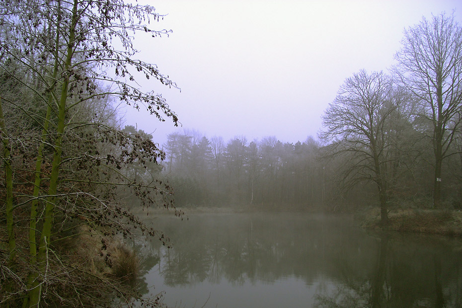 Meertje in Veldhoven