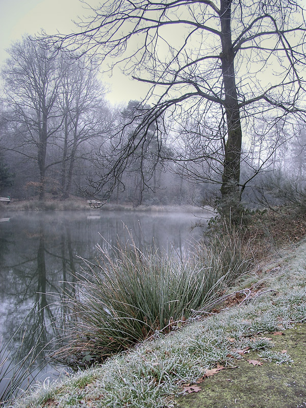 Meertje in Veldhoven