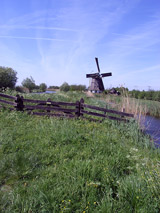 Molen bij muiderberg