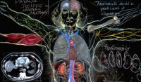 /images/staff/images/anatomie.jpg