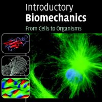 /images/staff/images/biomechanics.jpg