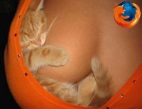 /images/staff/images/firefoxcleavage.jpg