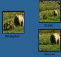 /images/staff/images/imresize.jpg