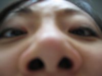 /images/staff/images/nose.jpg