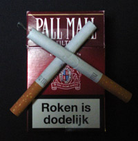 /images/staff/images/rokenisdodelijk.jpg