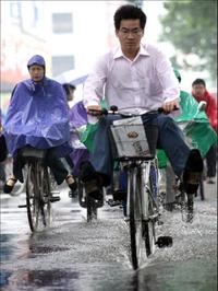 /images/staff/images/fietsenregen.jpg